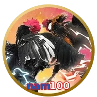 nam100