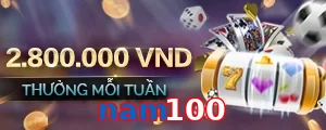 nam100